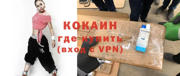 шишки Алзамай