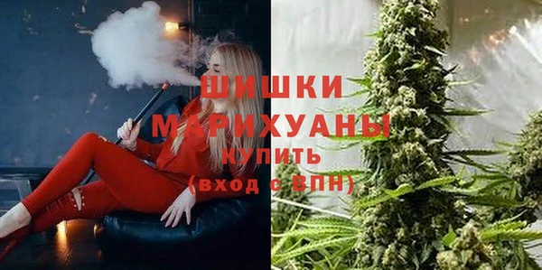 шишки Алзамай