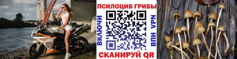 Псилоцибиновые грибы ЛСД  Новоузенск 